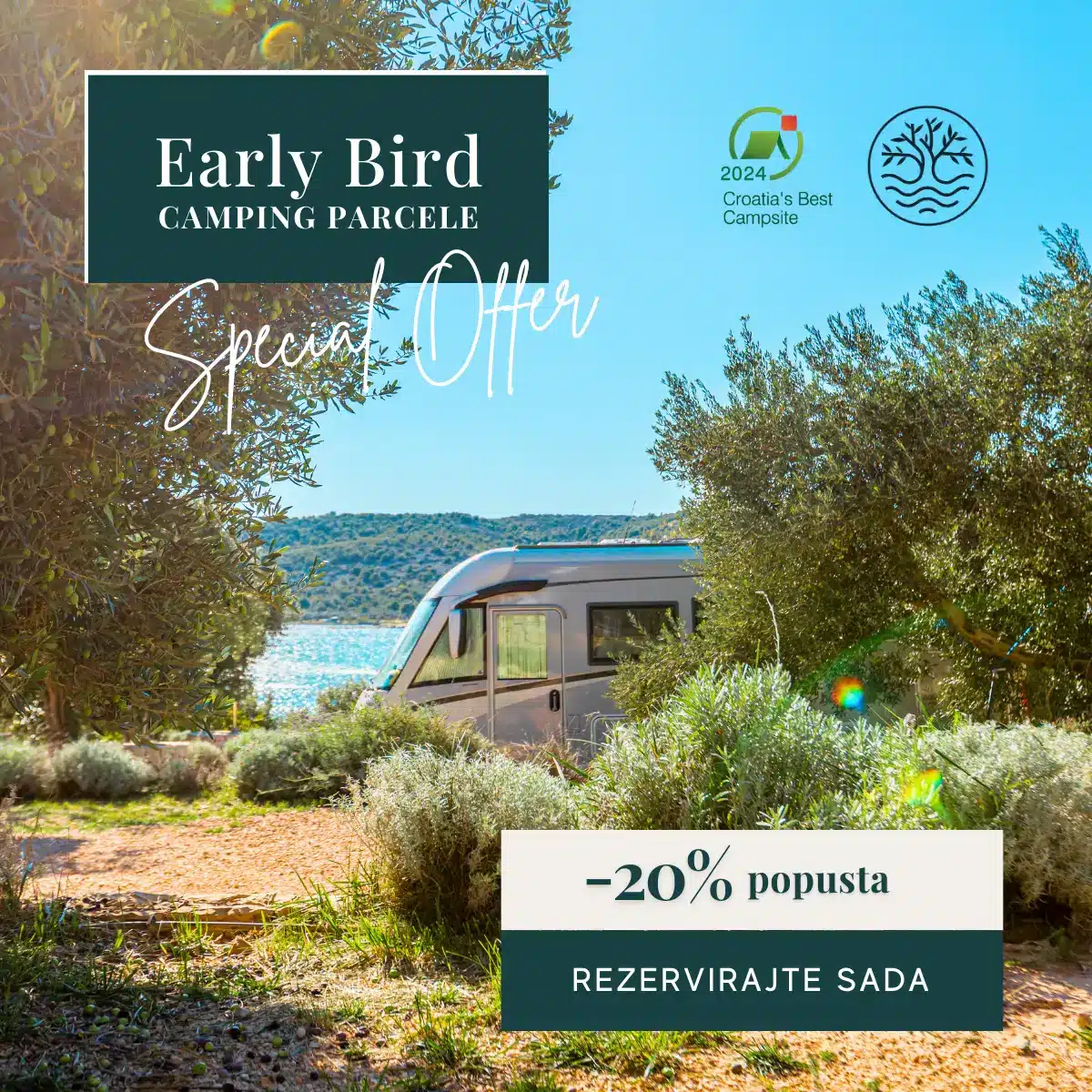 early_bird